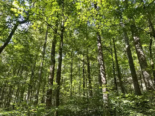 740 Hogans Branch Rd, Hendersonville, TN  37075