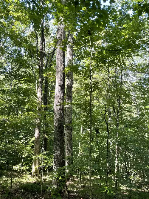 740 Hogans Branch Rd, Hendersonville, TN  37075