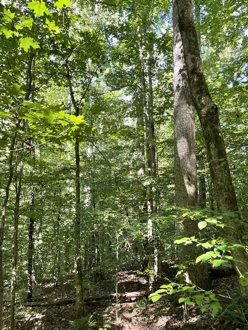 740 Hogans Branch Rd, Hendersonville, TN  37075