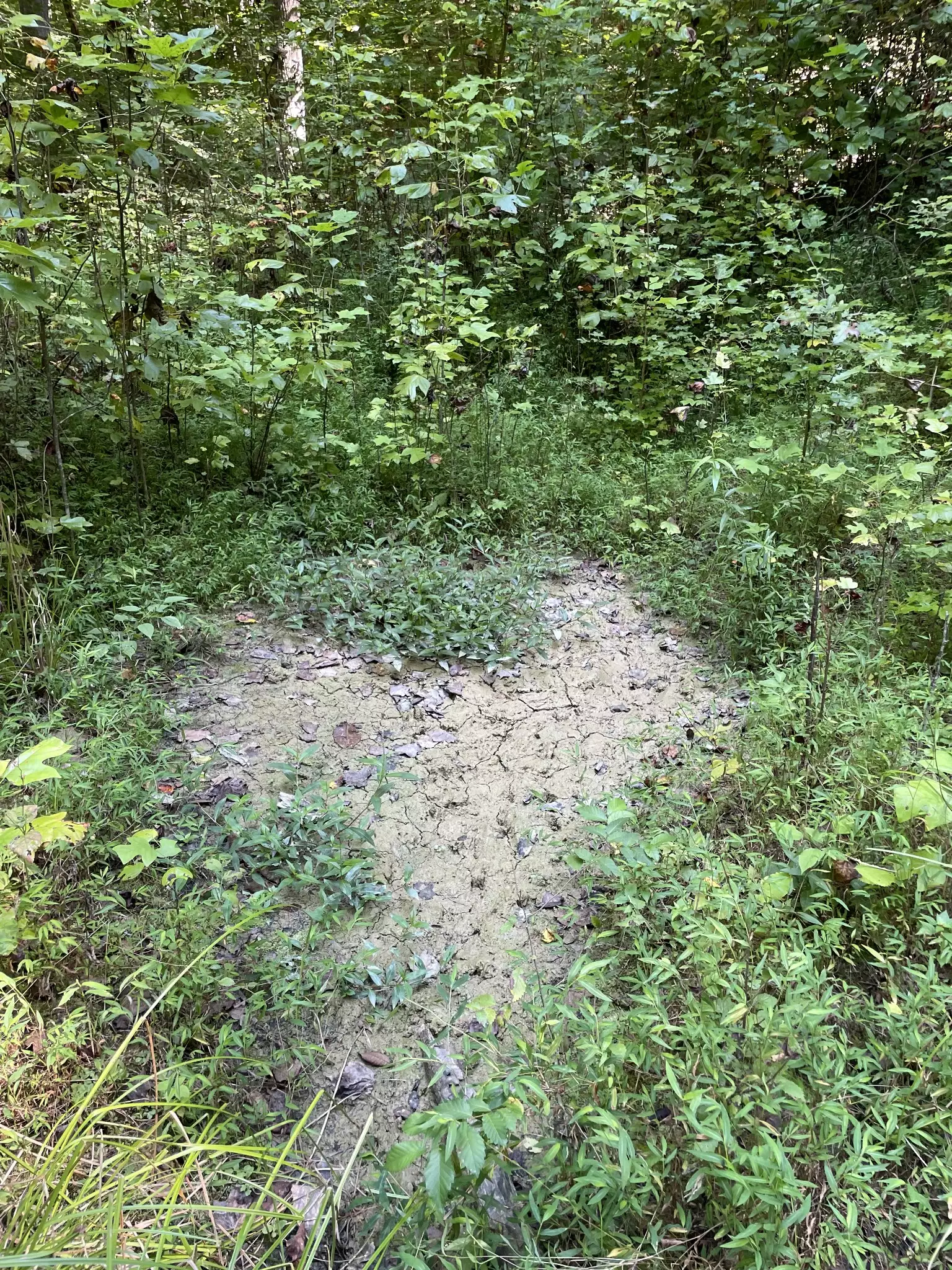 740 Hogans Branch Rd, Hendersonville, TN  37075