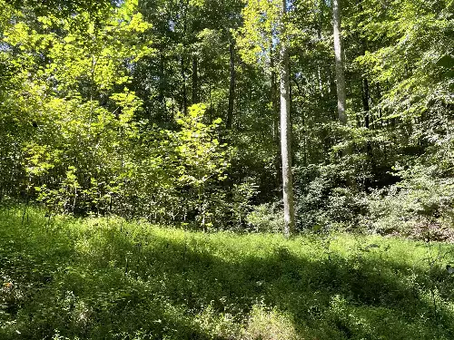 740 Hogans Branch Rd, Hendersonville, TN  37075