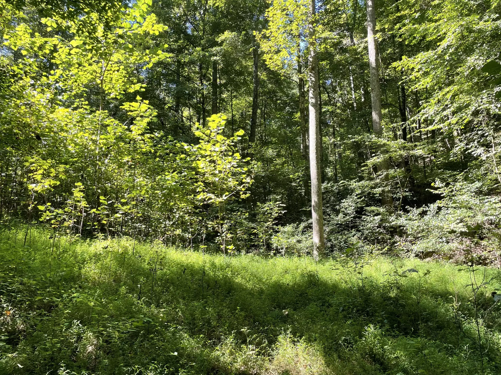 740 Hogans Branch Rd, Hendersonville, TN  37075