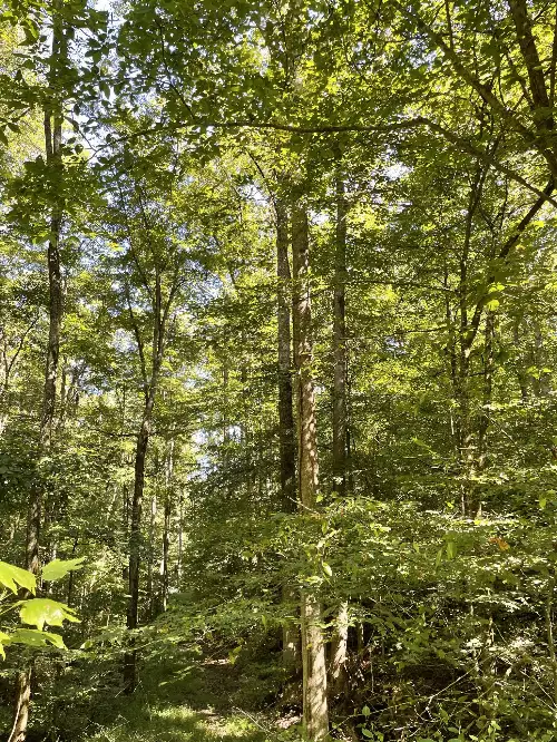 740 Hogans Branch Rd, Hendersonville, TN  37075