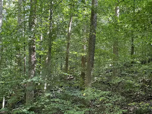 740 Hogans Branch Rd, Hendersonville, TN  37075