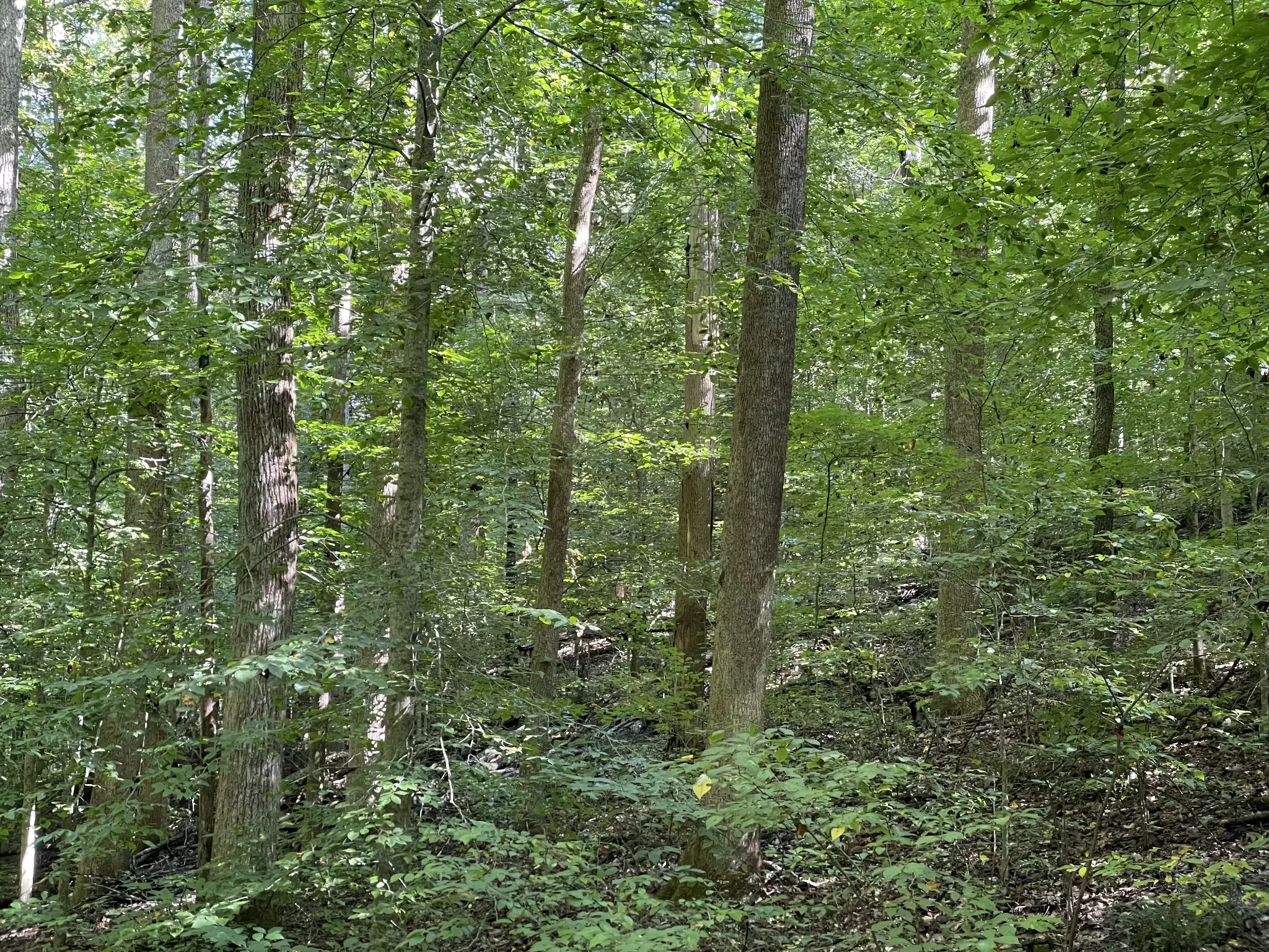 740 Hogans Branch Rd, Hendersonville, TN  37075