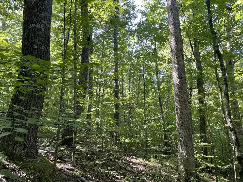 740 Hogans Branch Rd, Hendersonville, TN  37075