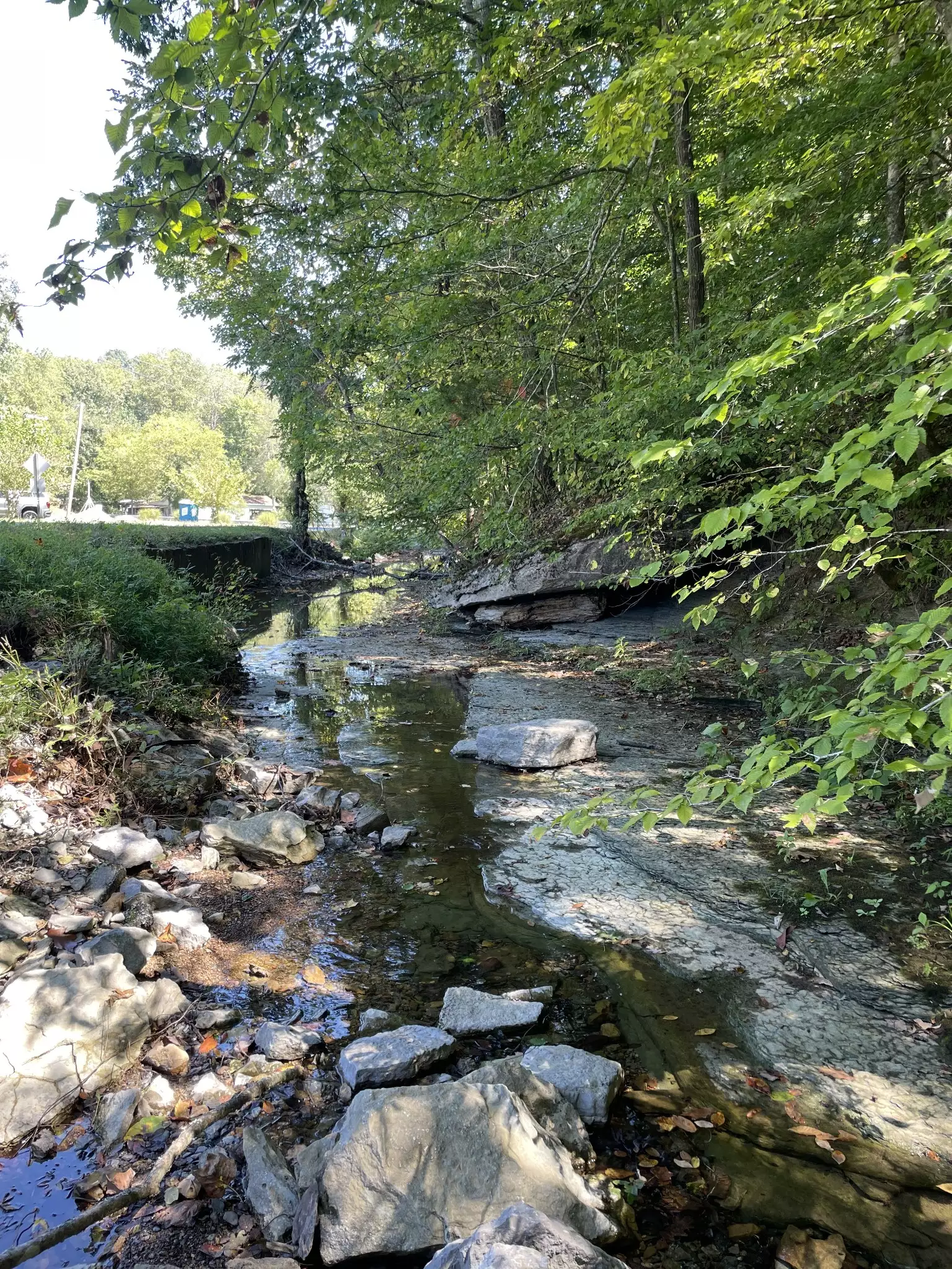 740 Hogans Branch Rd, Hendersonville, TN  37075