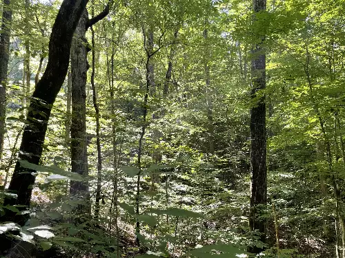 740 Hogans Branch Rd, Hendersonville, TN  37075