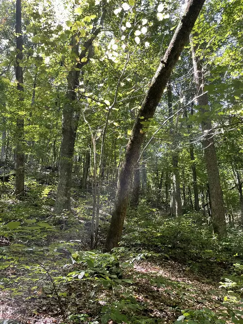 740 Hogans Branch Rd, Hendersonville, TN  37075