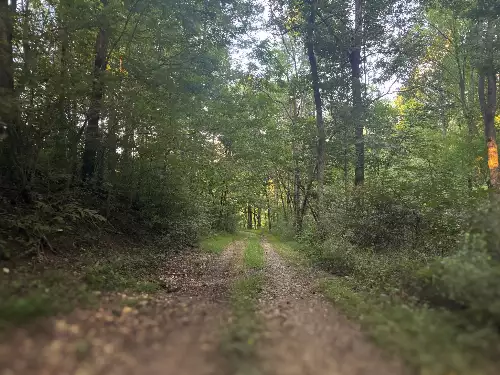 Lazy Branch Road, Wartrace, TN  37183