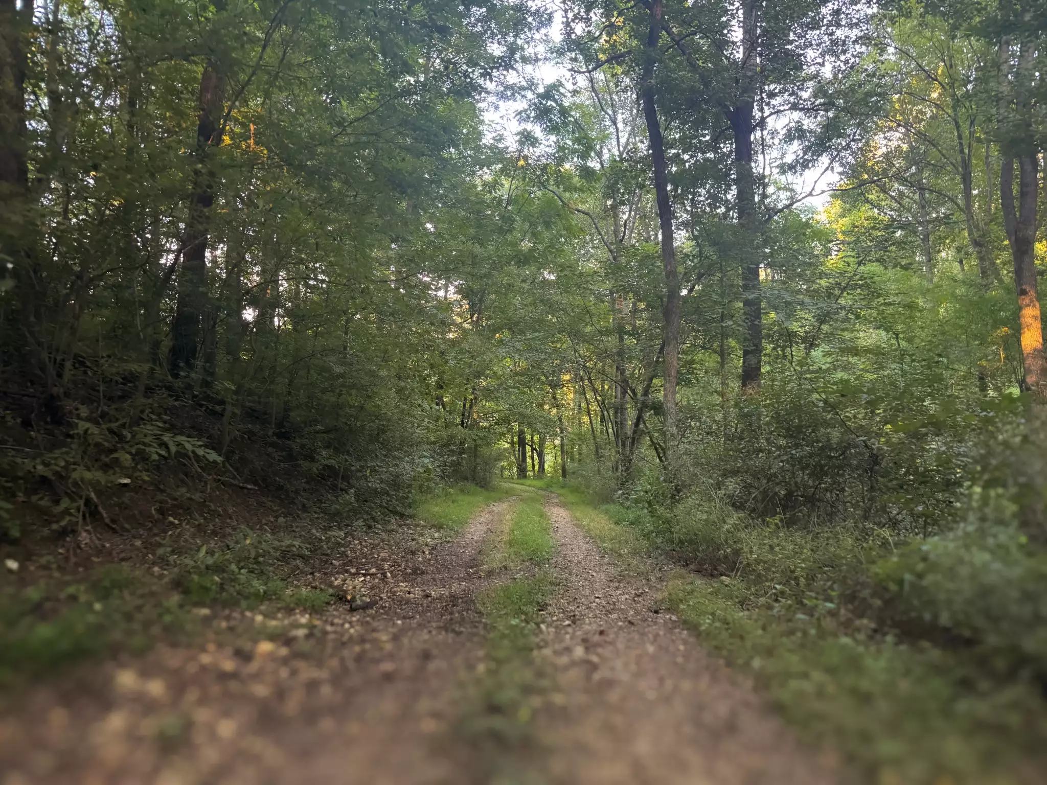 Lazy Branch Road, Wartrace, TN  37183