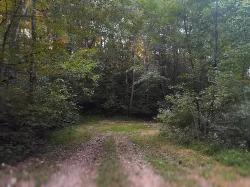 Lazy Branch Road, Wartrace, TN  37183