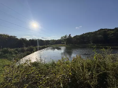 Lazy Branch Road, Wartrace, TN  37183