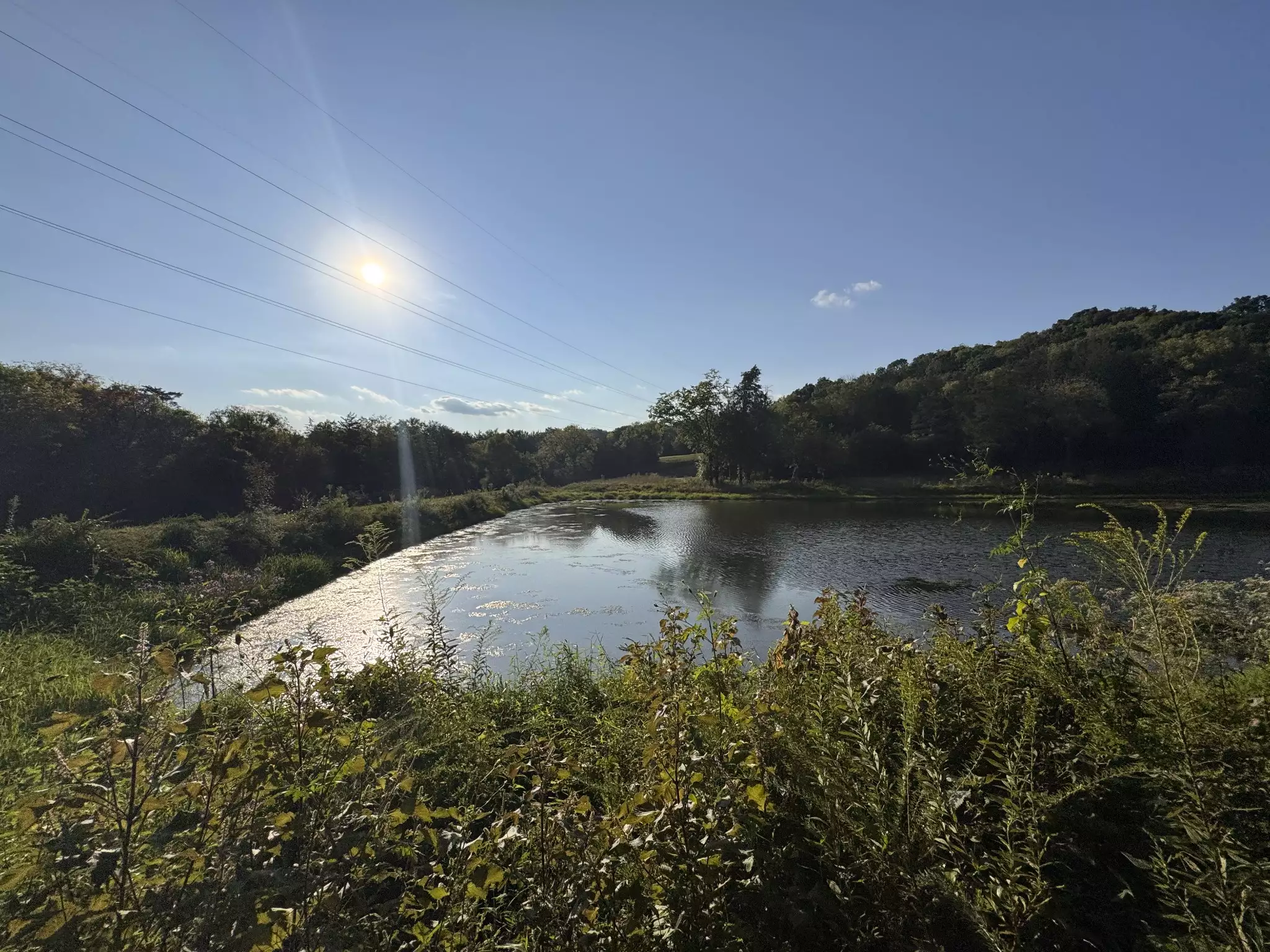 Lazy Branch Road, Wartrace, TN  37183