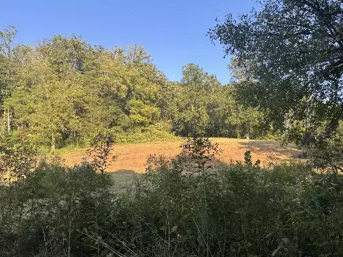 Lazy Branch Road, Wartrace, TN  37183