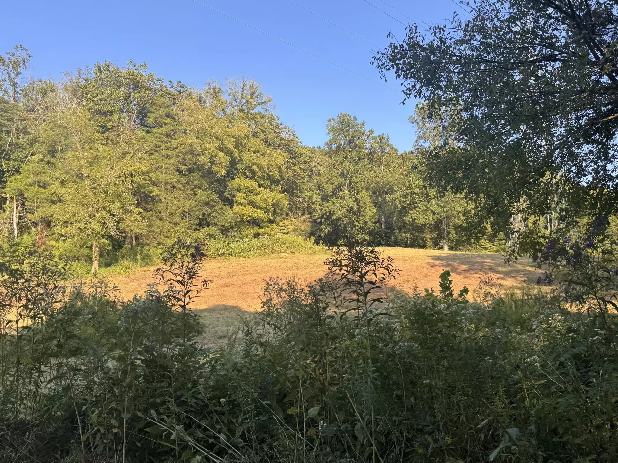 Lazy Branch Road, Wartrace, TN  37183