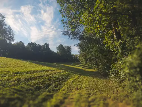 Lazy Branch Road, Wartrace, TN  37183