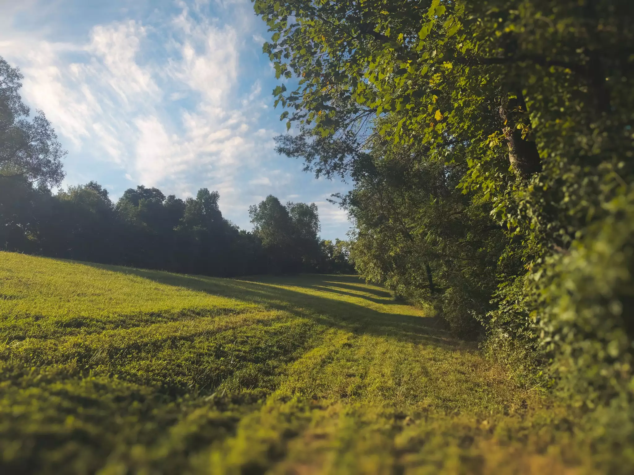 Lazy Branch Road, Wartrace, TN  37183