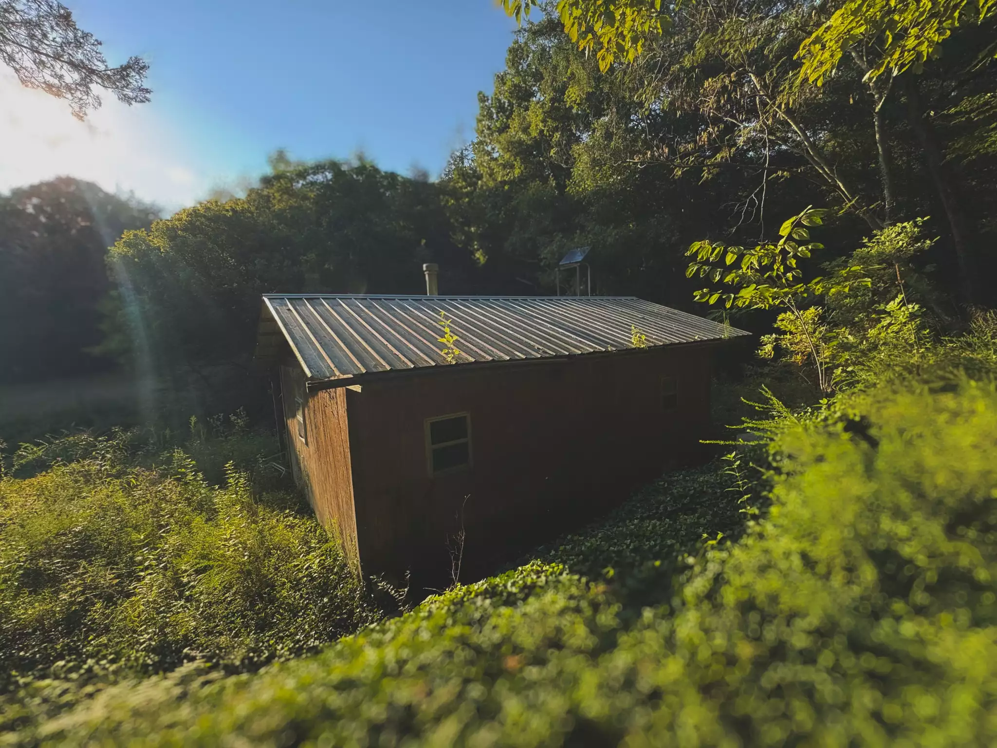 Lazy Branch Road, Wartrace, TN  37183