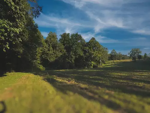 Lazy Branch Road, Wartrace, TN  37183