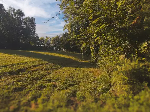 Lazy Branch Road, Wartrace, TN  37183