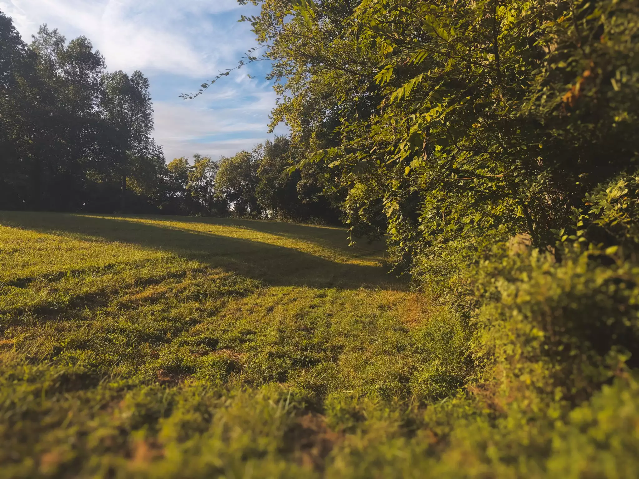 Lazy Branch Road, Wartrace, TN  37183