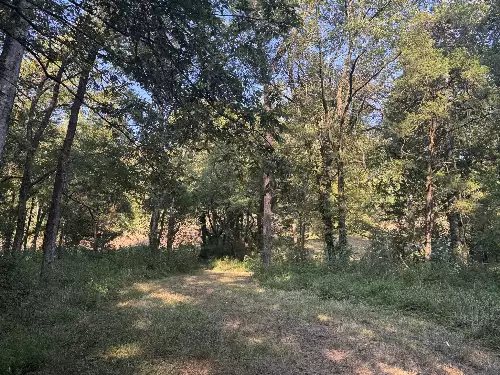 Lazy Branch Road, Wartrace, TN  37183