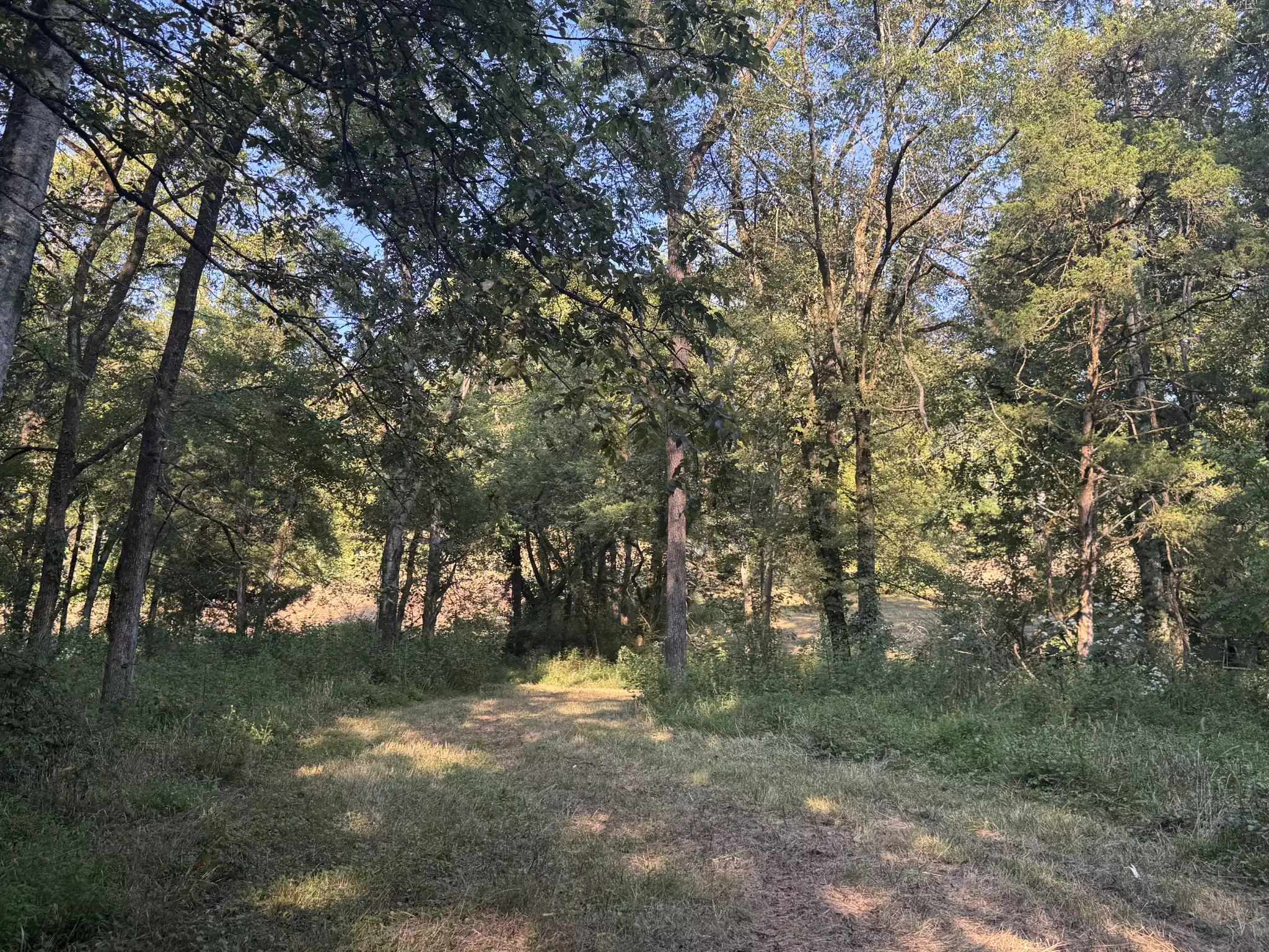 Lazy Branch Road, Wartrace, TN  37183