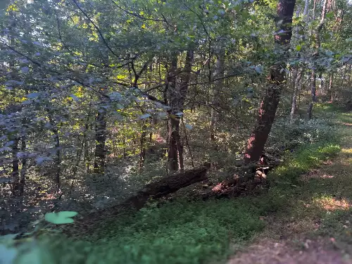 Lazy Branch Road, Wartrace, TN  37183