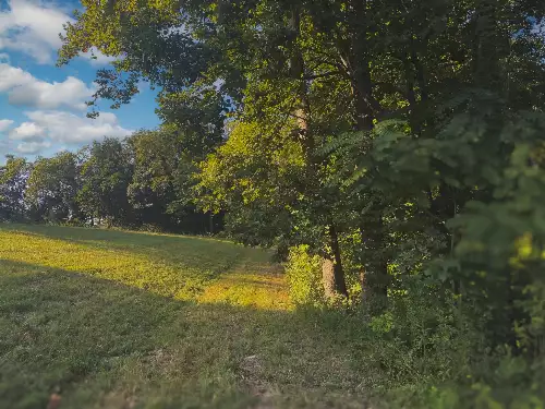 Lazy Branch Road, Wartrace, TN  37183