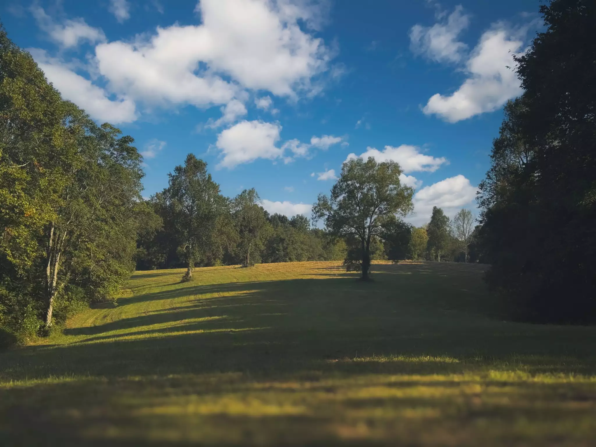 Lazy Branch Road, Wartrace, TN  37183