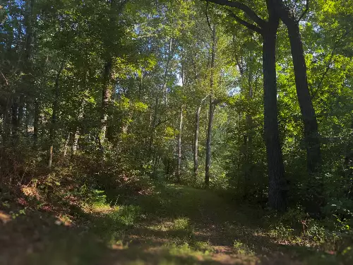 Lazy Branch Road, Wartrace, TN  37183