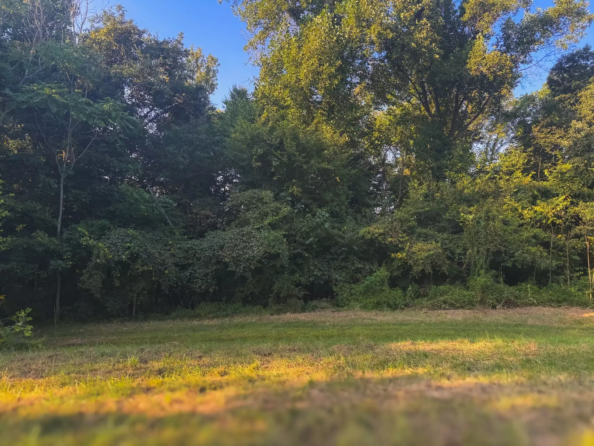 Lazy Branch Road, Wartrace, TN  37183