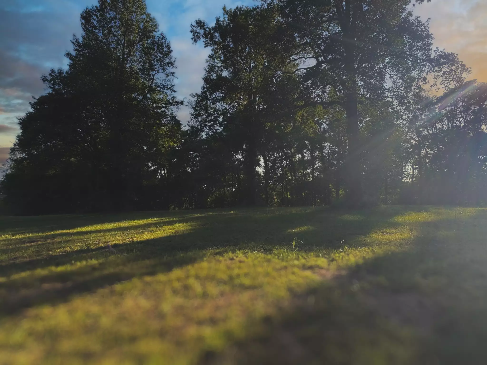 Lazy Branch Road, Wartrace, TN  37183