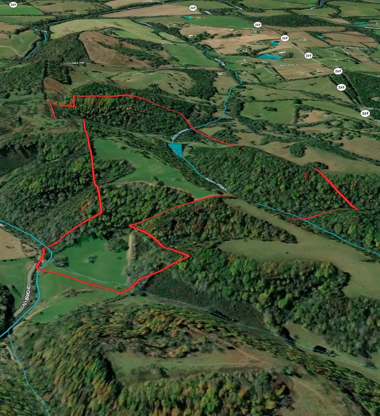 Lazy Branch Road, Wartrace, TN  37183