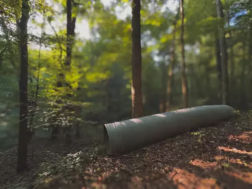 Lazy Branch Road, Wartrace, TN  37183