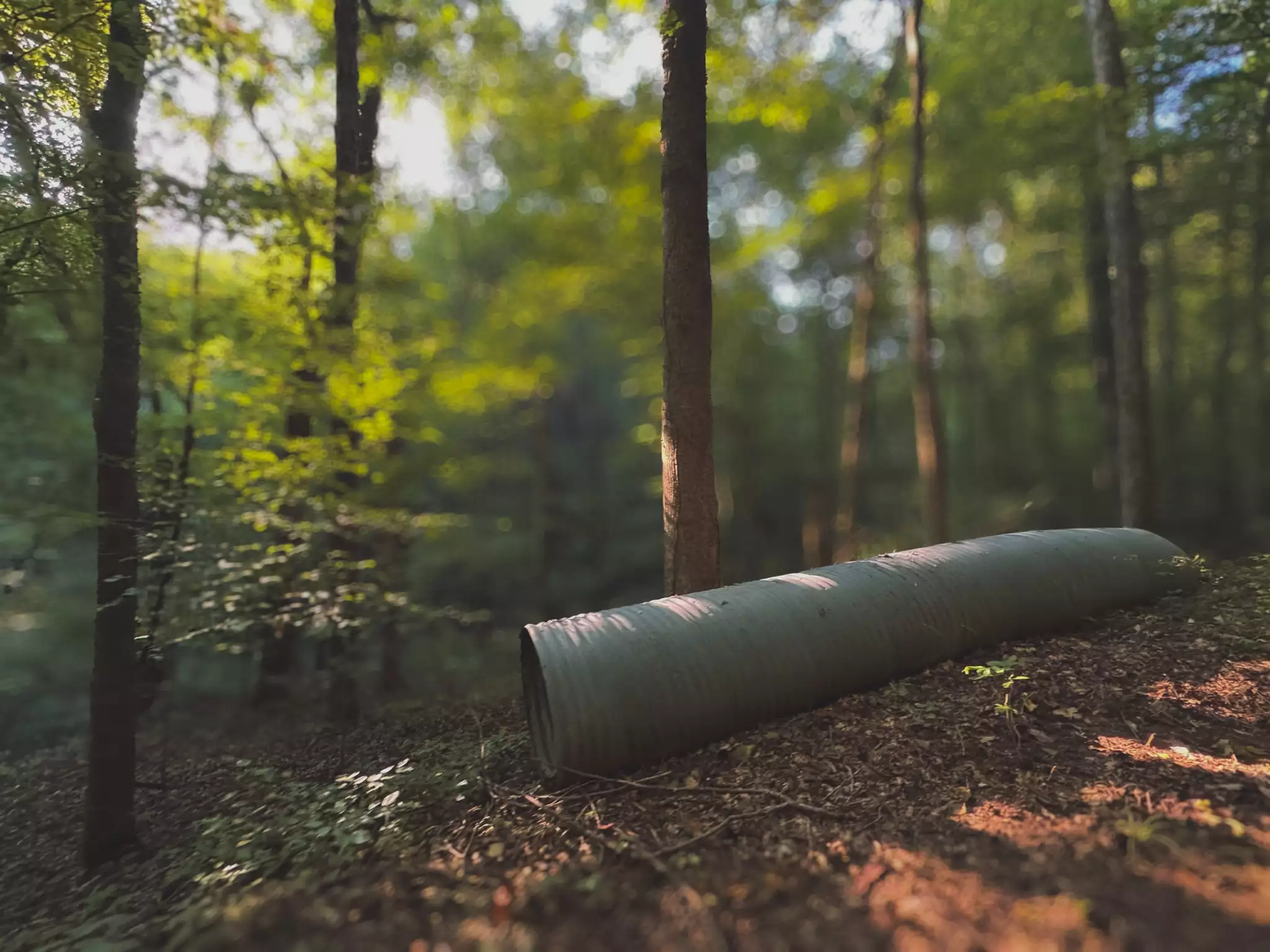 Lazy Branch Road, Wartrace, TN  37183