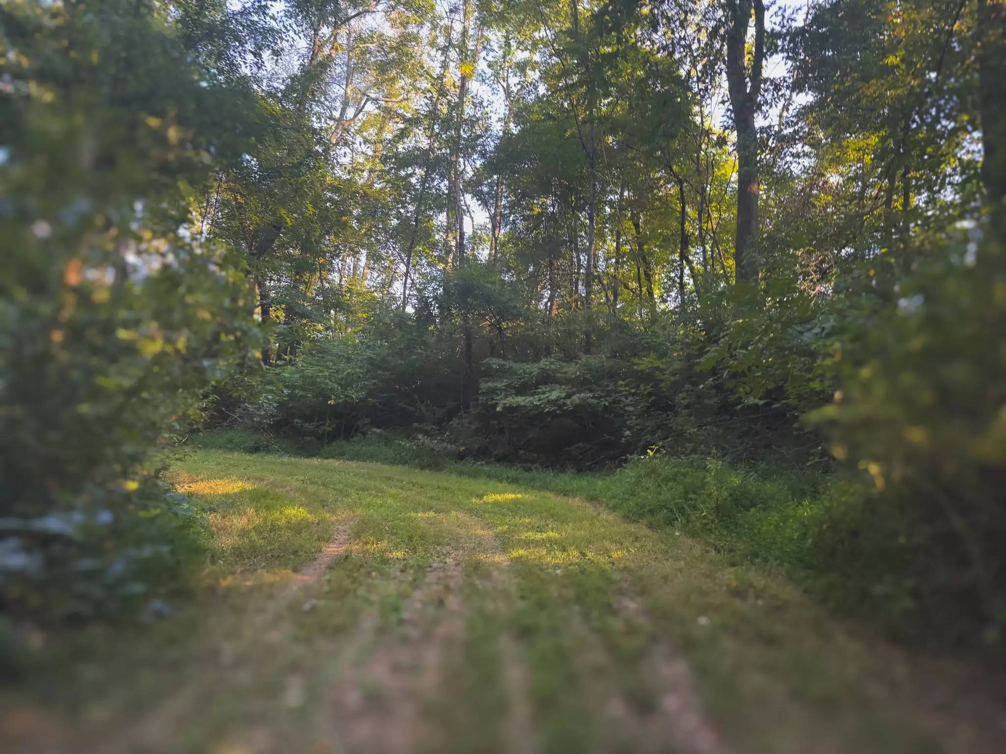 Lazy Branch Road, Wartrace, TN  37183