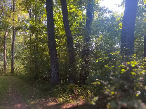 Lazy Branch Road, Wartrace, TN  37183