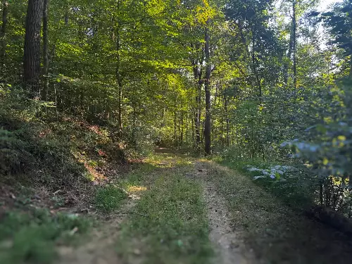 Lazy Branch Road, Wartrace, TN  37183