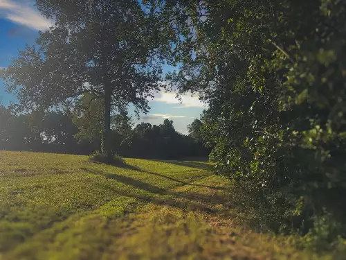 Lazy Branch Road, Wartrace, TN  37183