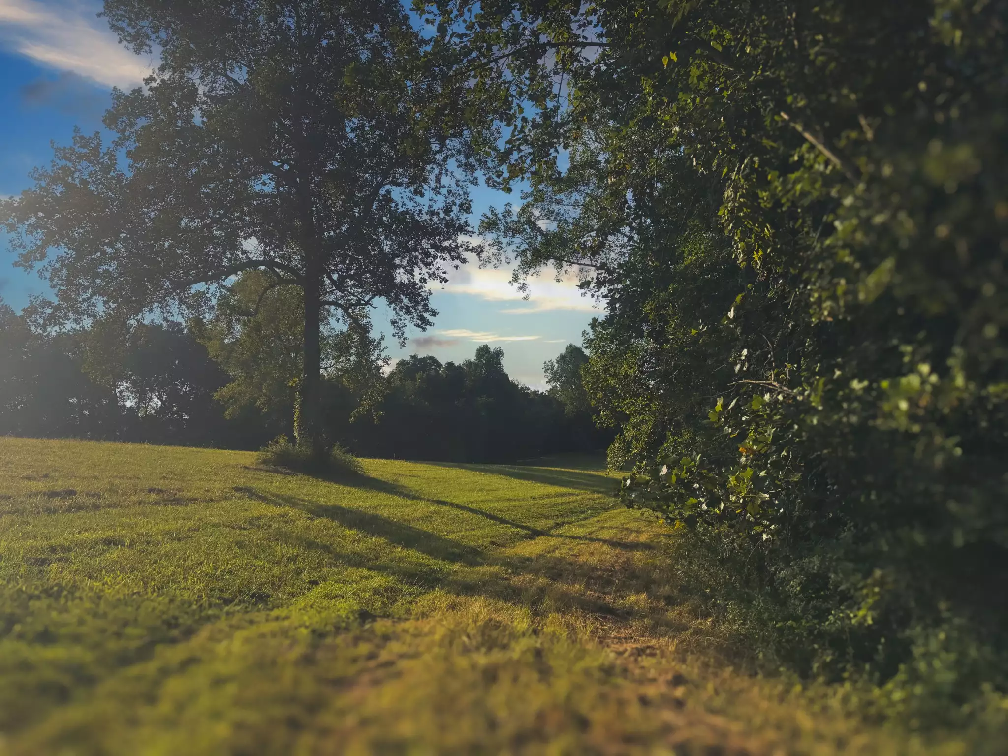 Lazy Branch Road, Wartrace, TN  37183