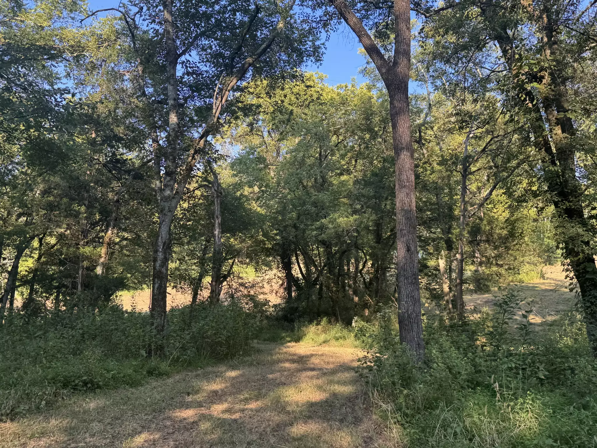 Lazy Branch Road, Wartrace, TN  37183