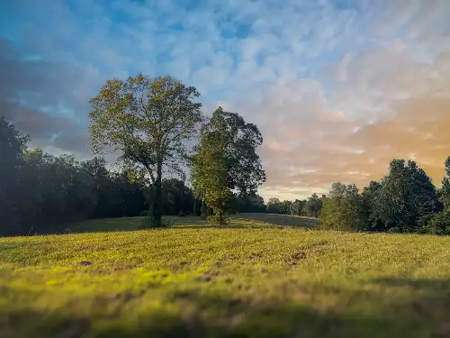 Lazy Branch Road, Wartrace, TN  37183