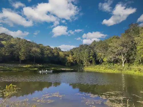 Lazy Branch Road, Wartrace, TN  37183