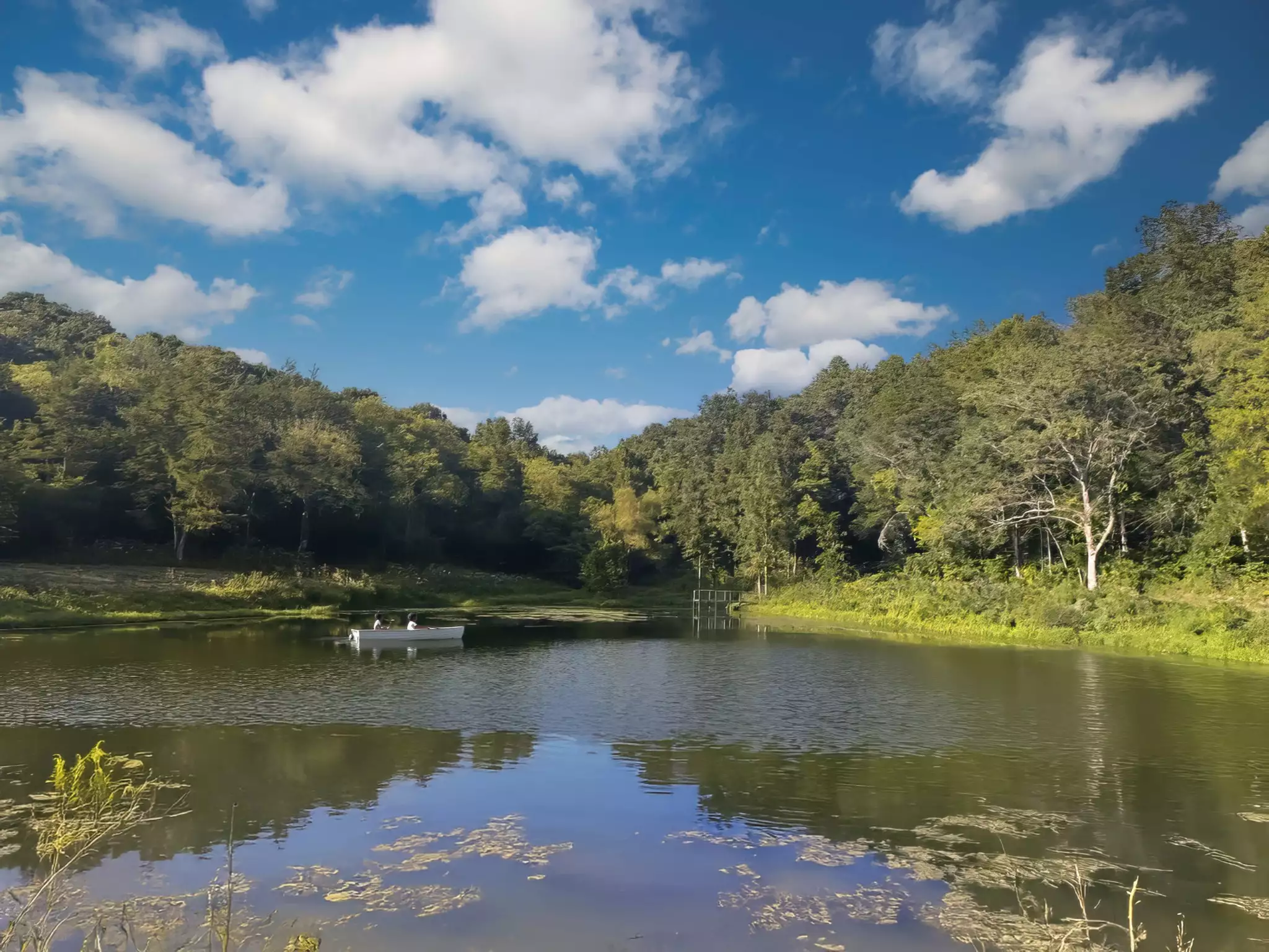 Lazy Branch Road, Wartrace, TN  37183