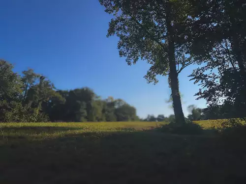 Lazy Branch Road, Wartrace, TN  37183