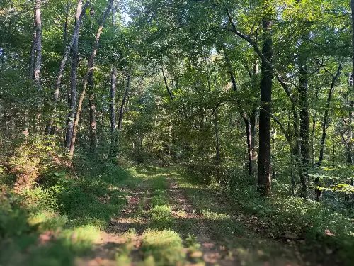 Lazy Branch Road, Wartrace, TN  37183