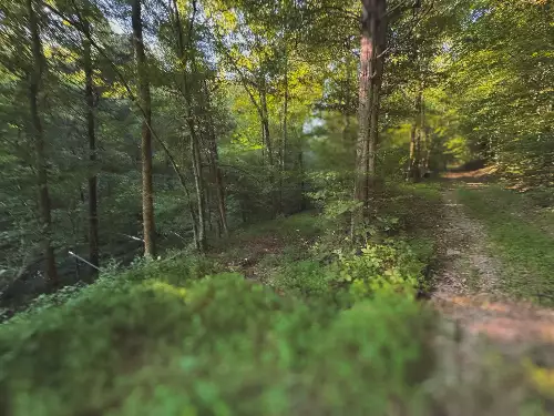 Lazy Branch Road, Wartrace, TN  37183