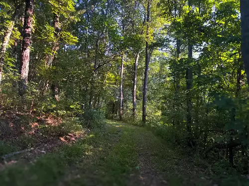 Lazy Branch Road, Wartrace, TN  37183